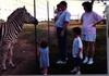 Old Family Picture Book 090.jpg